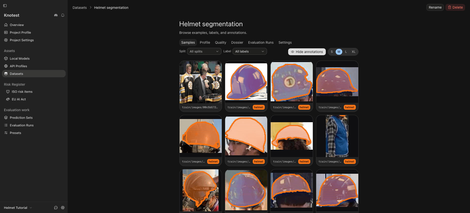 Imported Helmet segmentation samples with polygon annotations overlaid.